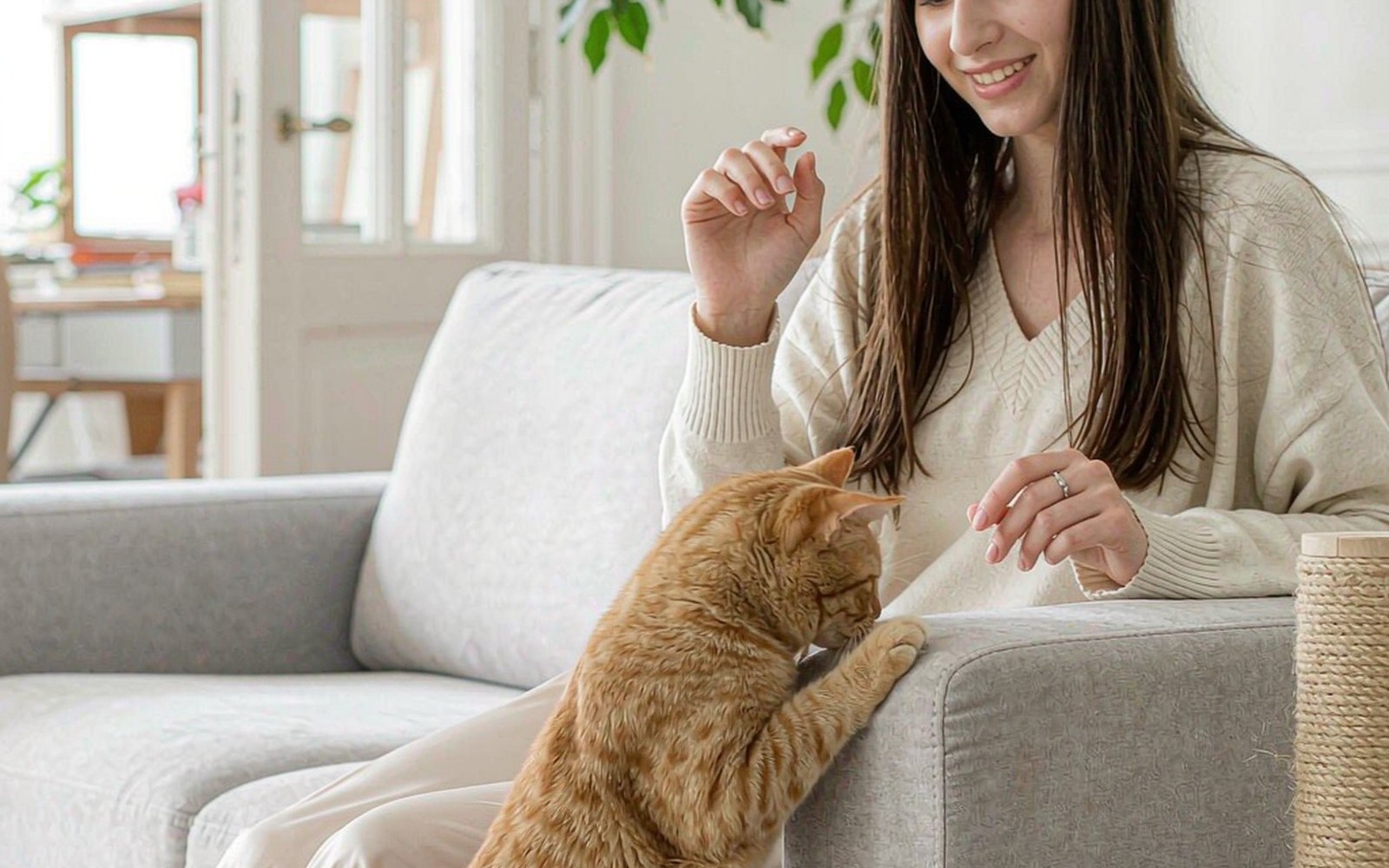 Orange tabby cat scratching a sofa armrest while its owner gestures toward a sisal scratching post