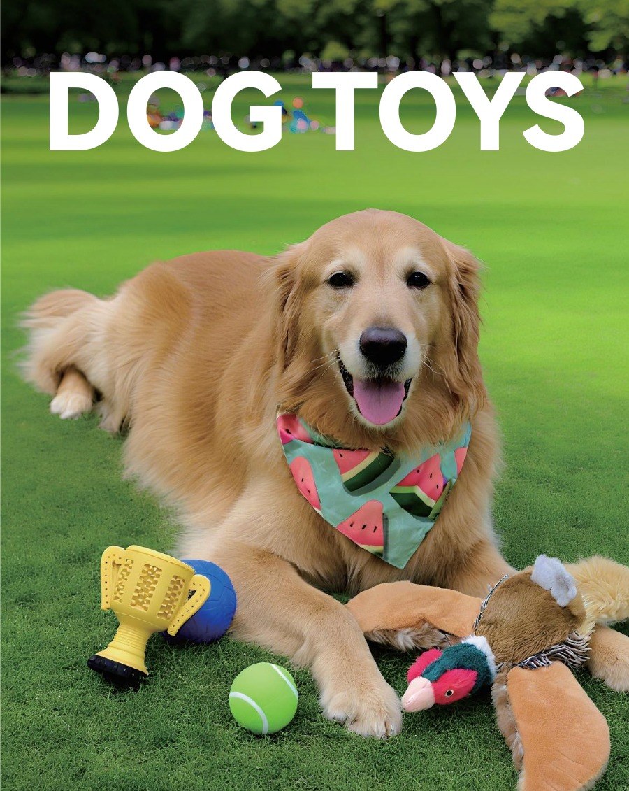 PawMivo wholesale dog toys including balls, plush toys and chews